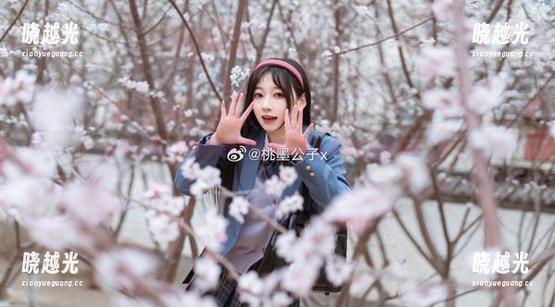 桃墨公子：神鹿我来教你拍照，这美图图包慢慢成型了哦