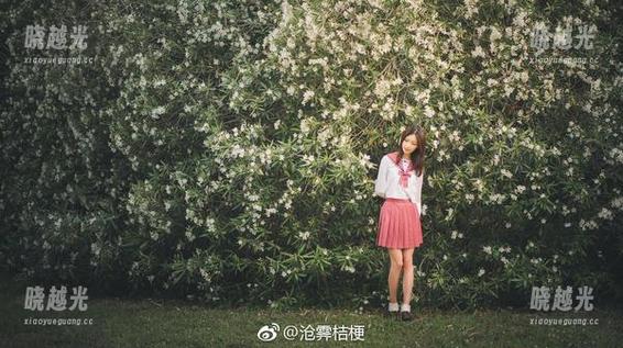 沧霁桔梗 沧霁桔梗再推美图更新,透明感是不是要让人弱倒了?